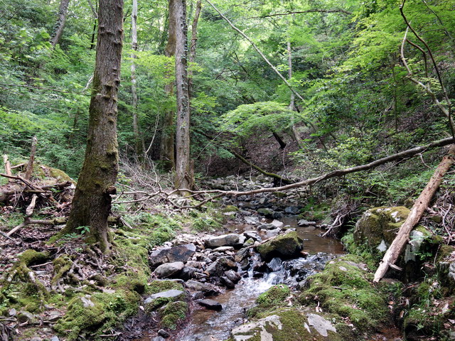 f:id:Hanamaru:20170603131441j:plain