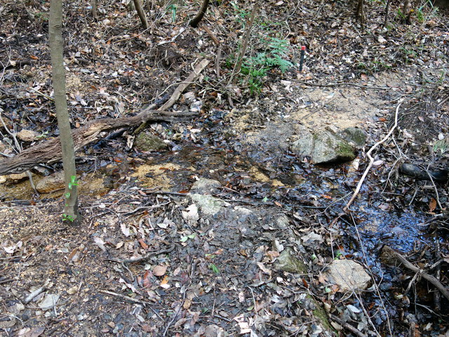 f:id:Hanamaru:20171209132242j:plain