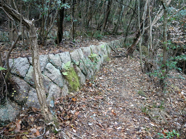 f:id:Hanamaru:20171209132304j:plain