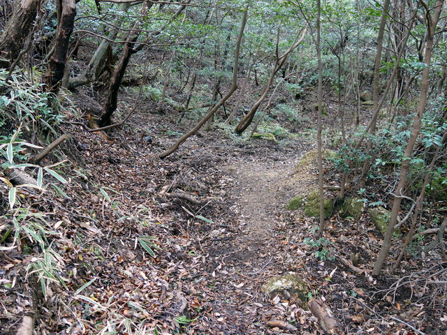 f:id:Hanamaru:20171209132601j:plain