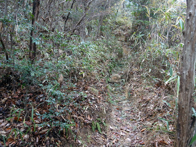 f:id:Hanamaru:20171209132950j:plain