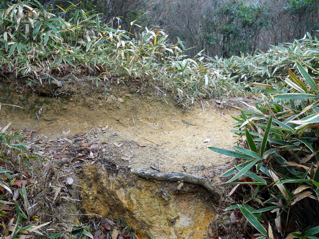 f:id:Hanamaru:20171209133013j:plain