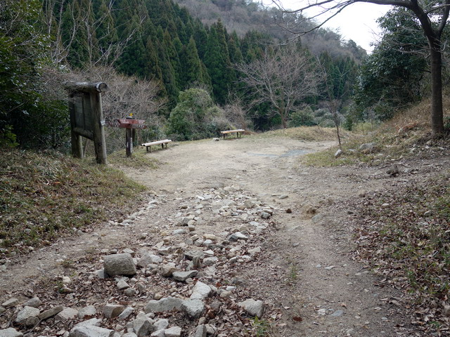 f:id:Hanamaru:20180307153318j:plain