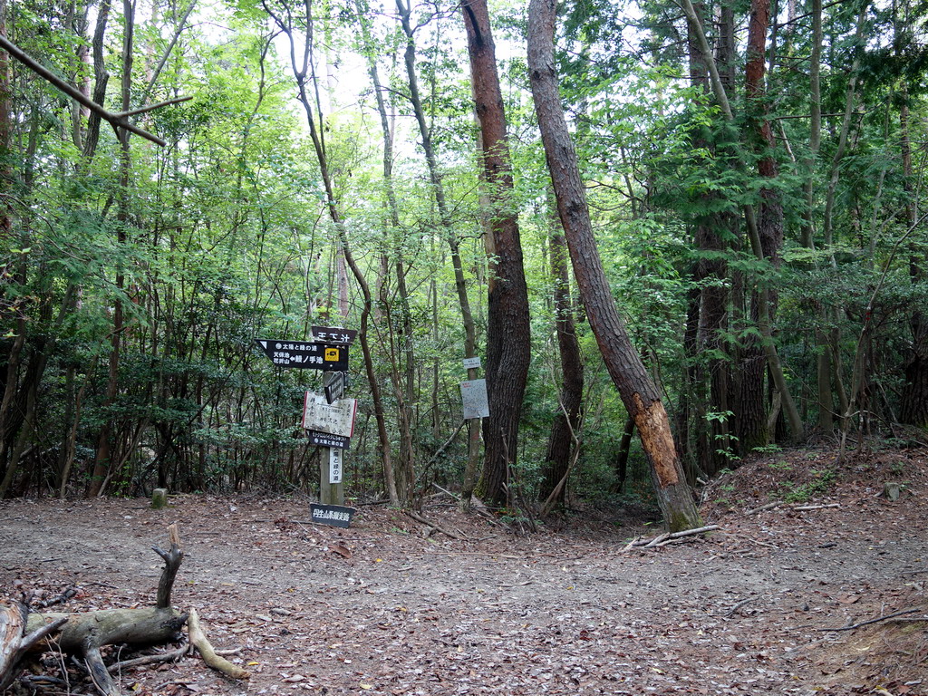 f:id:Hanamaru:20180430111648j:plain