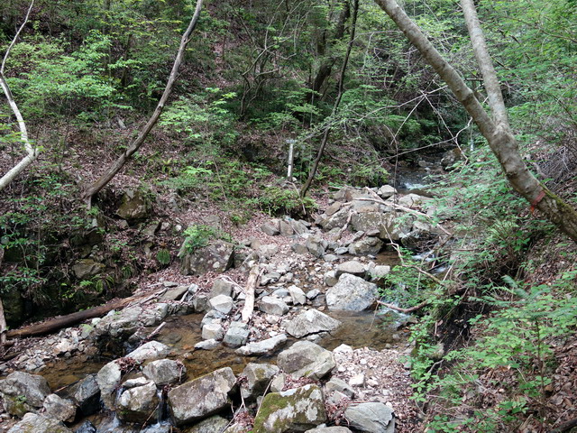 f:id:Hanamaru:20180430114617j:plain