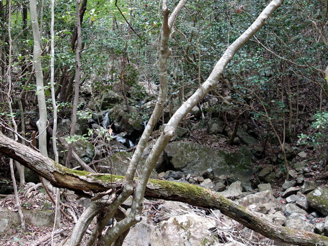 f:id:Hanamaru:20180430115404j:plain