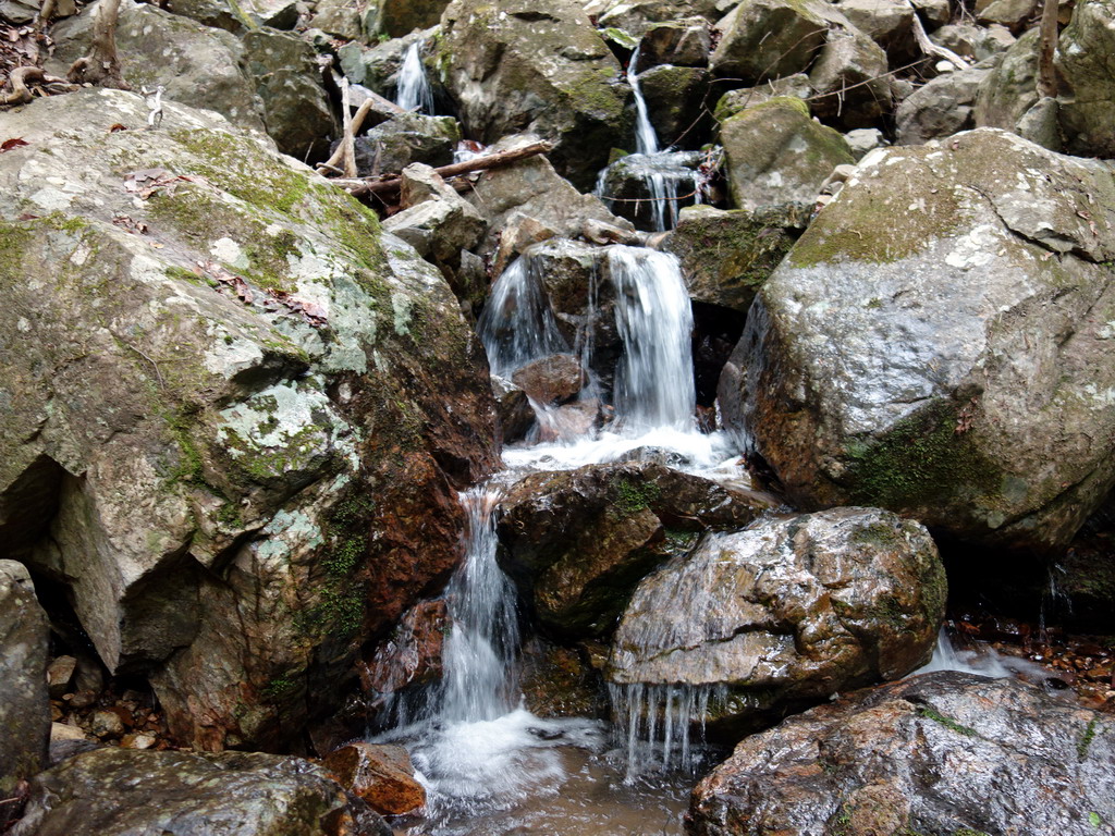 f:id:Hanamaru:20180430115504j:plain