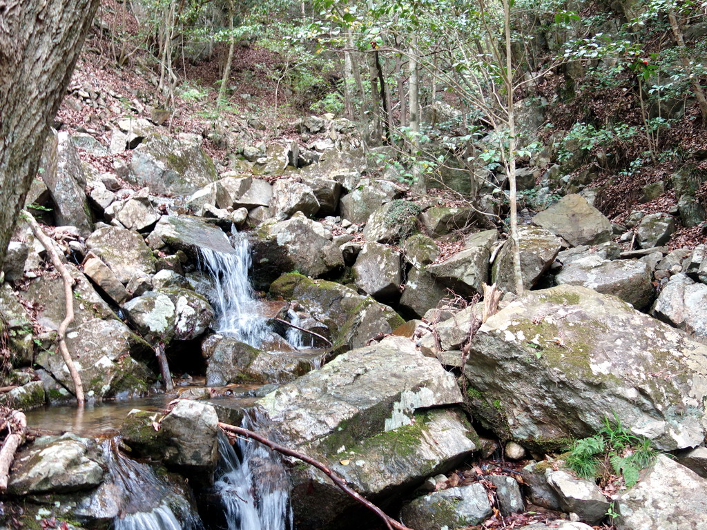 f:id:Hanamaru:20180430115610j:plain