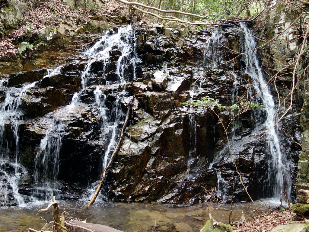 f:id:Hanamaru:20180430120652j:plain f:id:Hanamaru:20180430120652j:plain