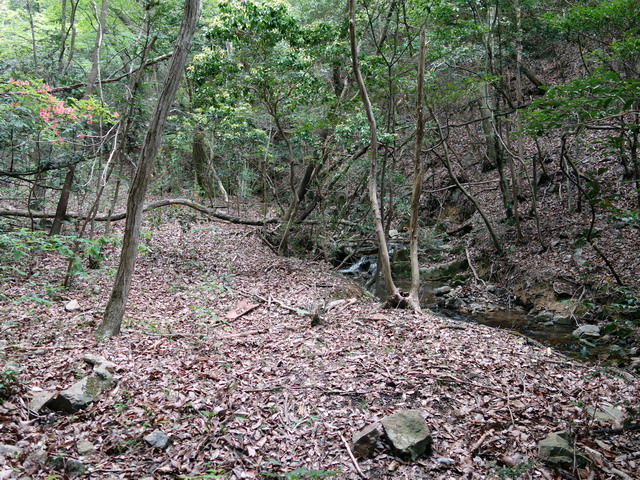 f:id:Hanamaru:20180430121110j:plain f:id:Hanamaru:20180430121110j:plain