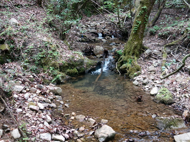 f:id:Hanamaru:20180430121436j:plain