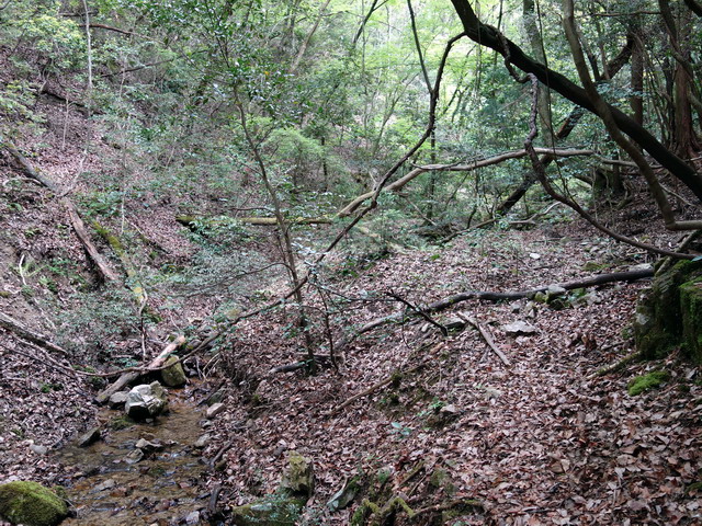 f:id:Hanamaru:20180430123741j:plain