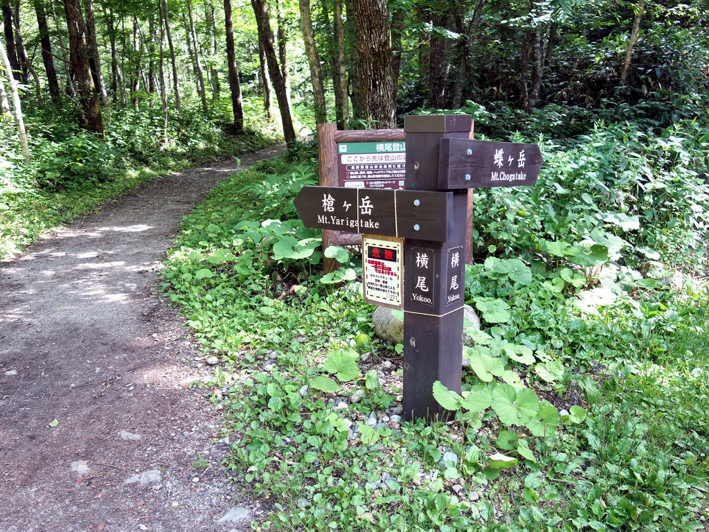 f:id:Hanamaru:20180716090233j:plain