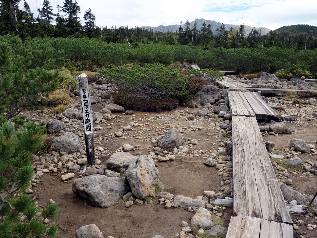 f:id:Hanamaru:20180924112011j:plain