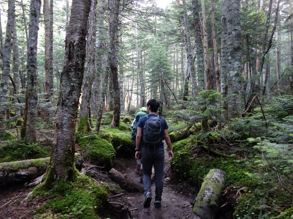 f:id:Hanamaru:20190803063839j:plain f:id:Hanamaru:20190803063839j:plain