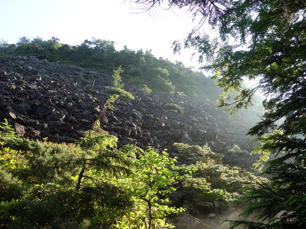 f:id:Hanamaru:20190803064247j:plain f:id:Hanamaru:20190803064247j:plain