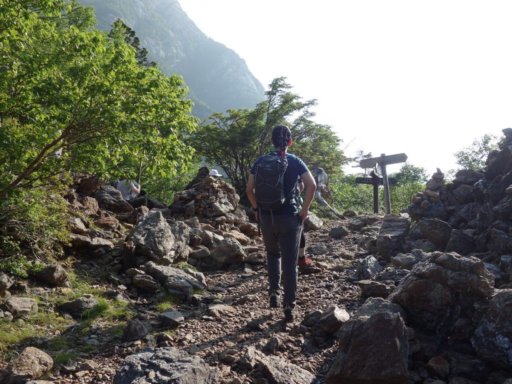 f:id:Hanamaru:20190803070753j:plain f:id:Hanamaru:20190803070753j:plain