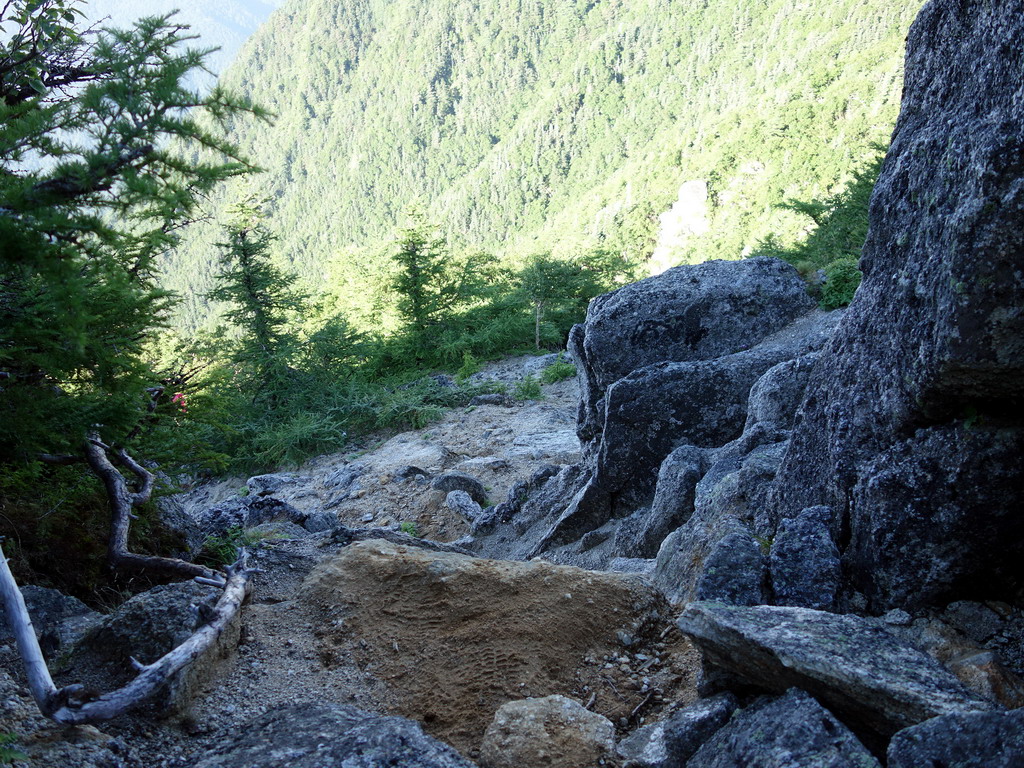 f:id:Hanamaru:20190826072623j:plain