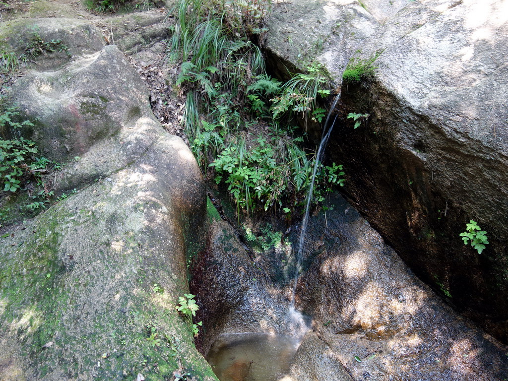 f:id:Hanamaru:20190916112450j:plain