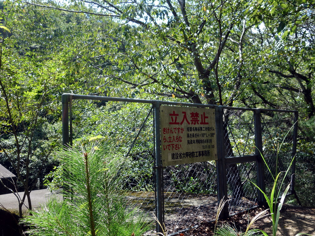 f:id:Hanamaru:20190916112824j:plain