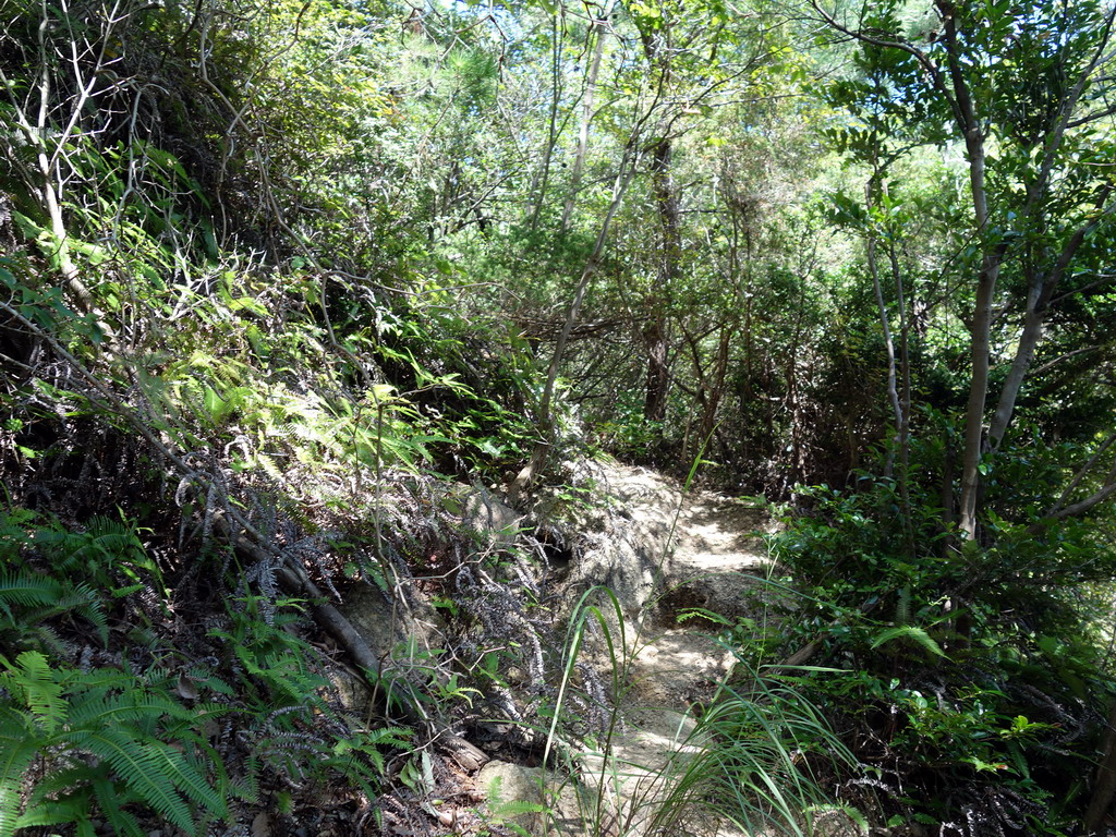 f:id:Hanamaru:20190916112831j:plain