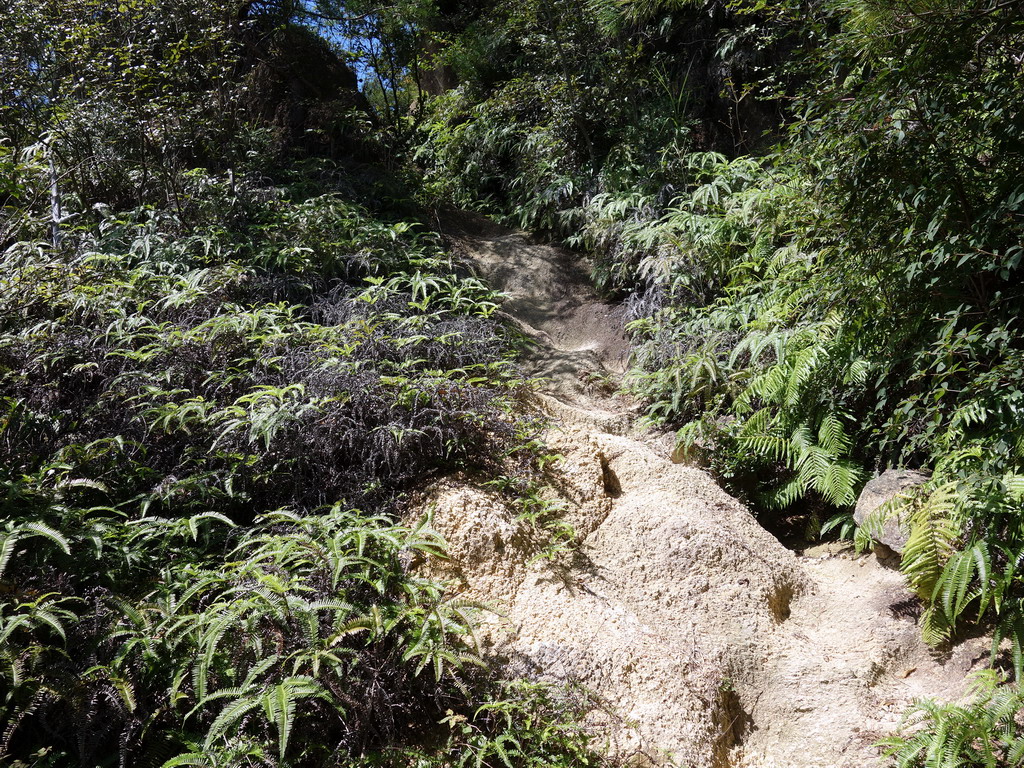 f:id:Hanamaru:20190916112949j:plain