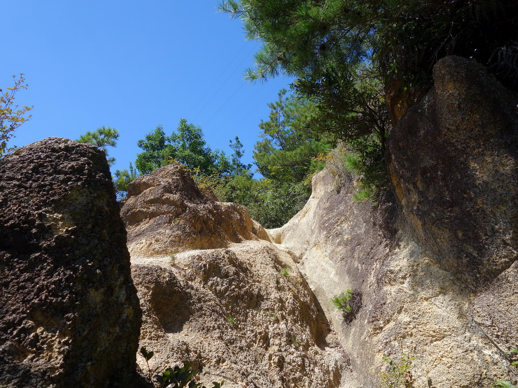 f:id:Hanamaru:20190916113022j:plain