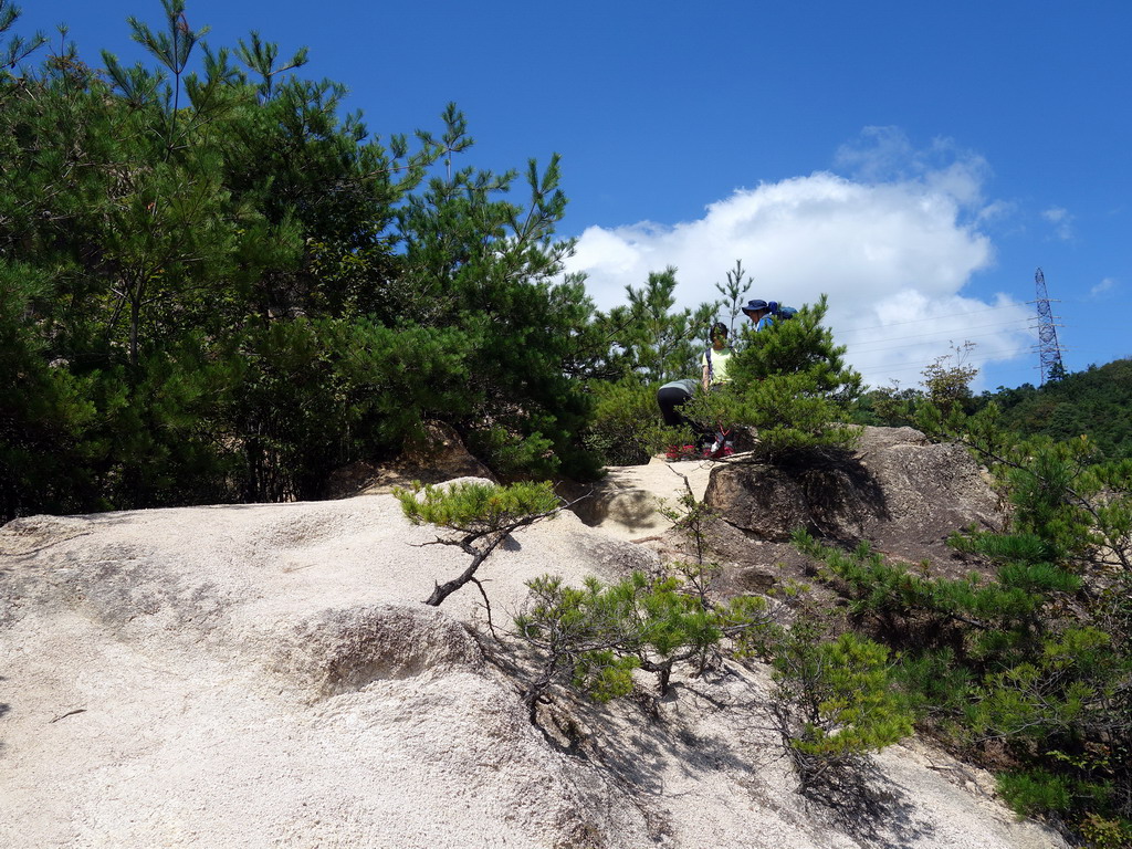 f:id:Hanamaru:20190916113227j:plain