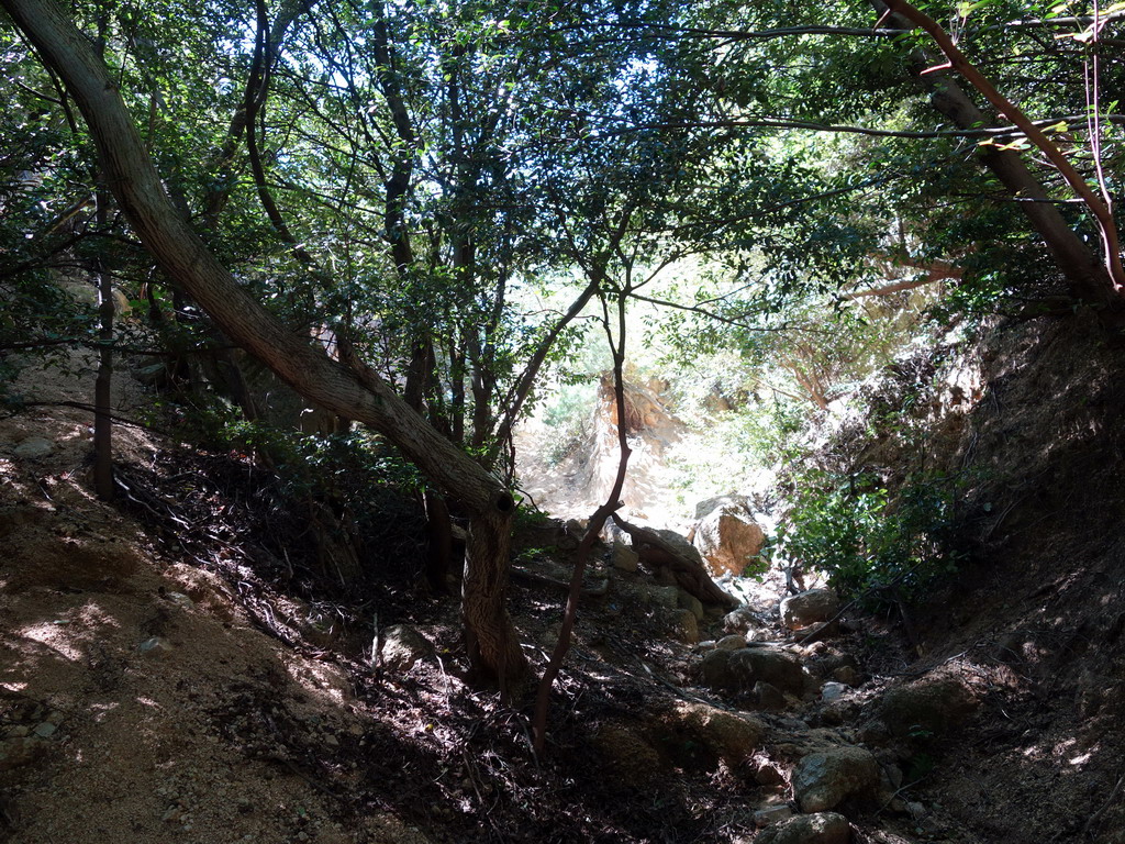 f:id:Hanamaru:20190916113511j:plain