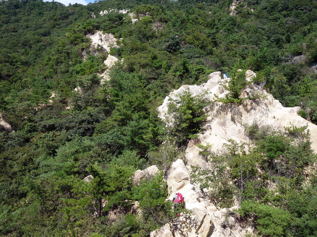 f:id:Hanamaru:20190916114913j:plain