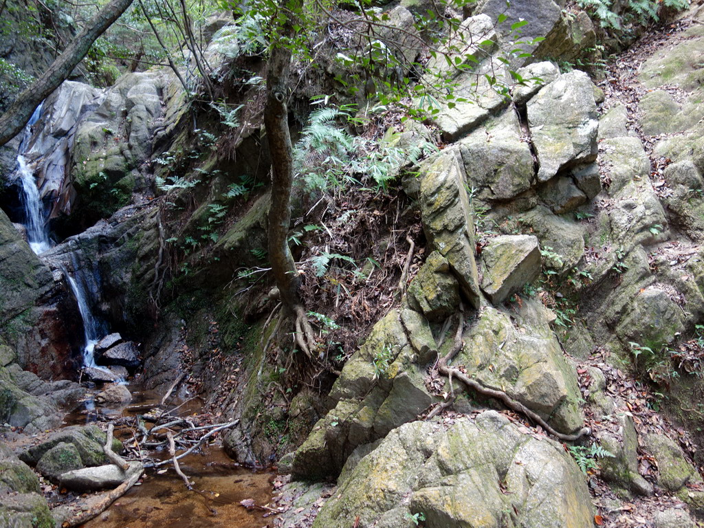 f:id:Hanamaru:20191104103222j:plain