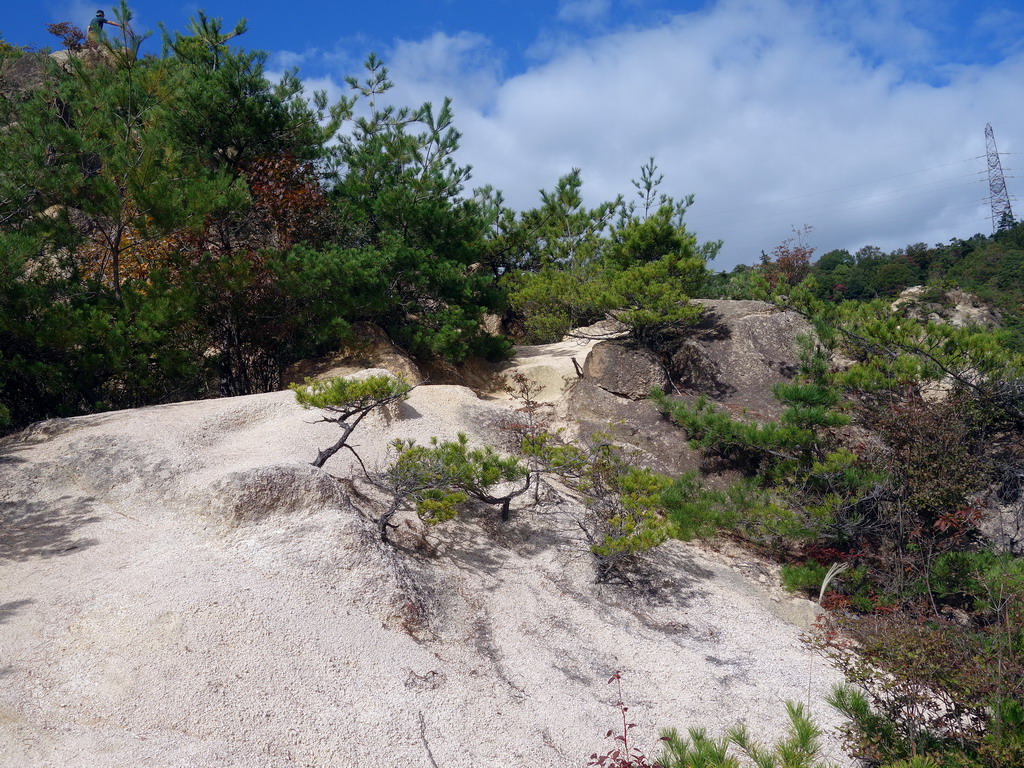 f:id:Hanamaru:20191104105743j:plain