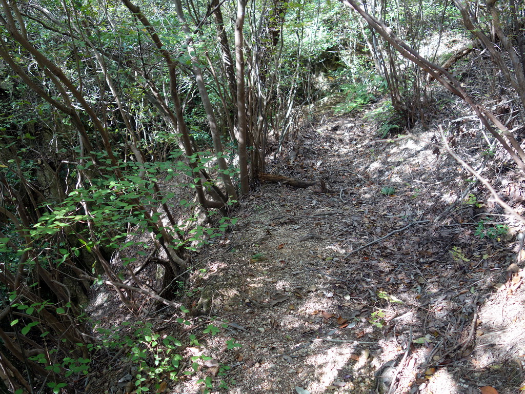 f:id:Hanamaru:20191104112652j:plain