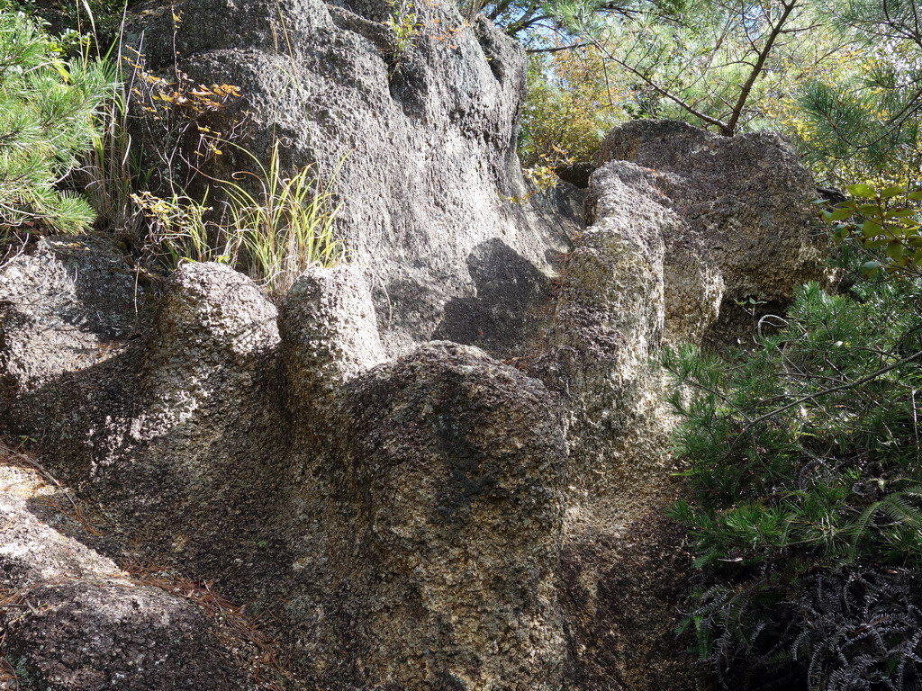 f:id:Hanamaru:20191104112819j:plain