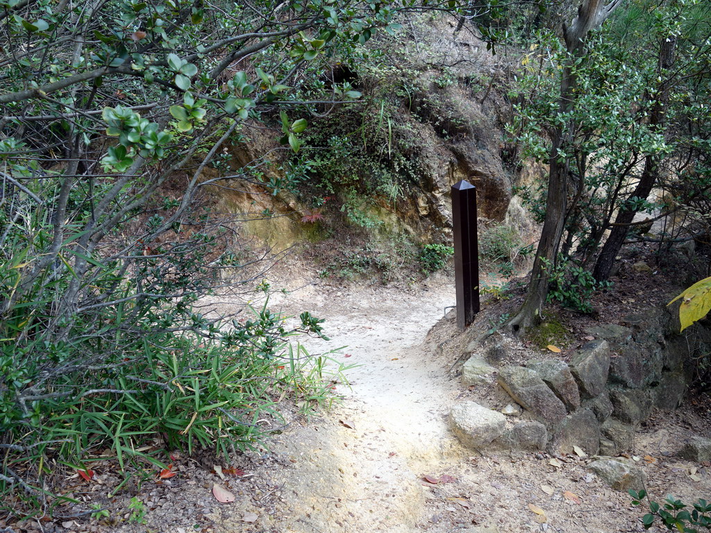 f:id:Hanamaru:20191104113127j:plain