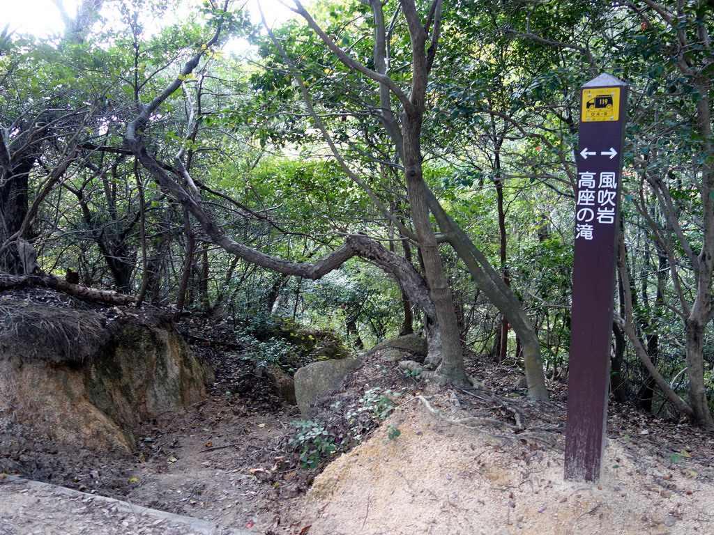 f:id:Hanamaru:20191104114042j:plain