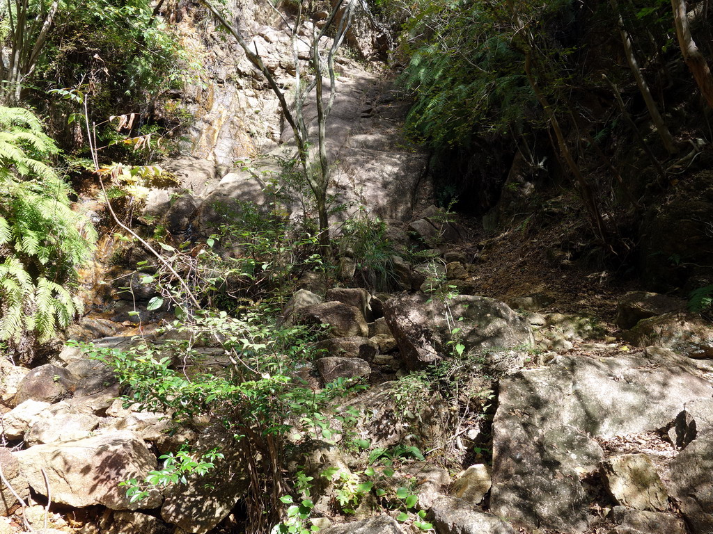 f:id:Hanamaru:20191104124355j:plain