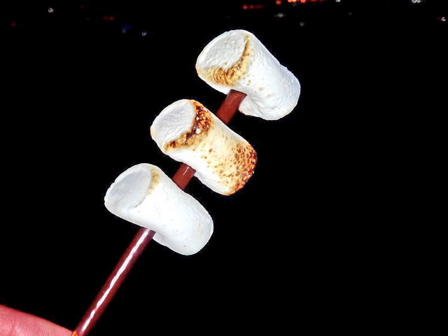 f:id:Hanamaru:20191130115726j:plain f:id:Hanamaru:20191130115726j:plain