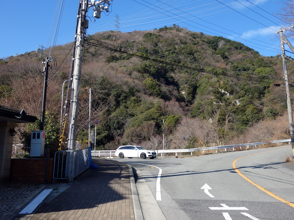 f:id:Hanamaru:20191229103724j:plain f:id:Hanamaru:20191229103724j:plain