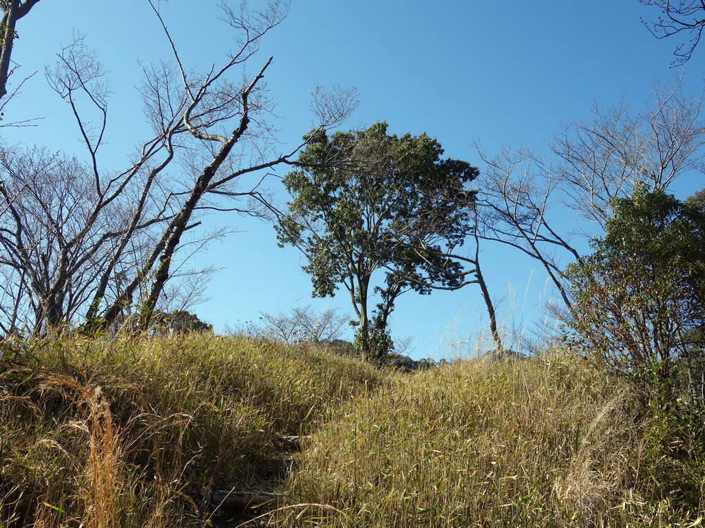 f:id:Hanamaru:20200320150141j:plain