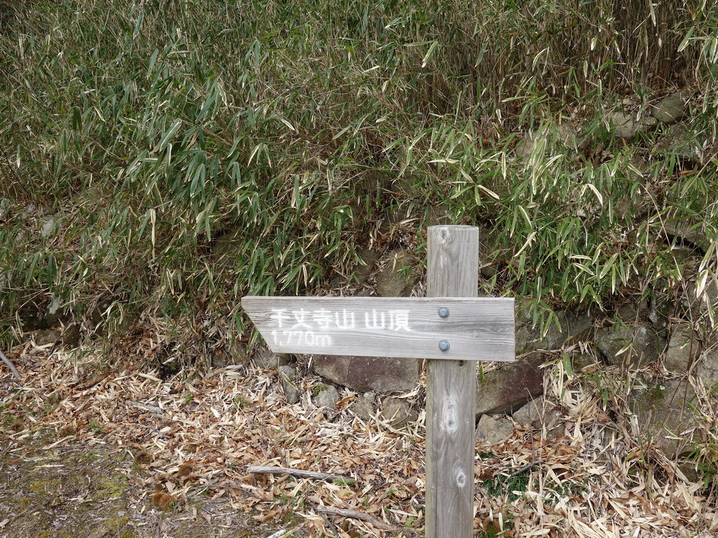 f:id:Hanamaru:20200329112136j:plain