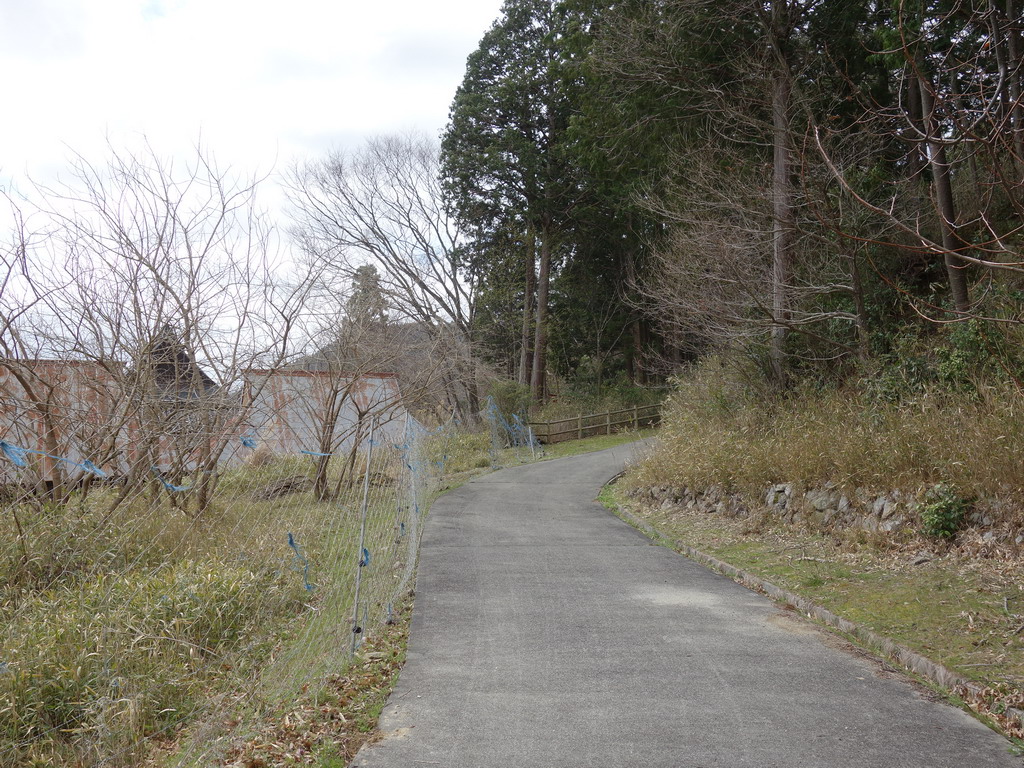 f:id:Hanamaru:20200329112140j:plain