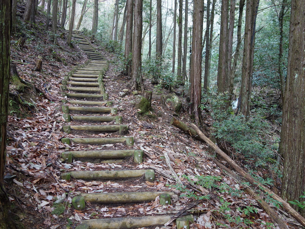 f:id:Hanamaru:20200329112645j:plain