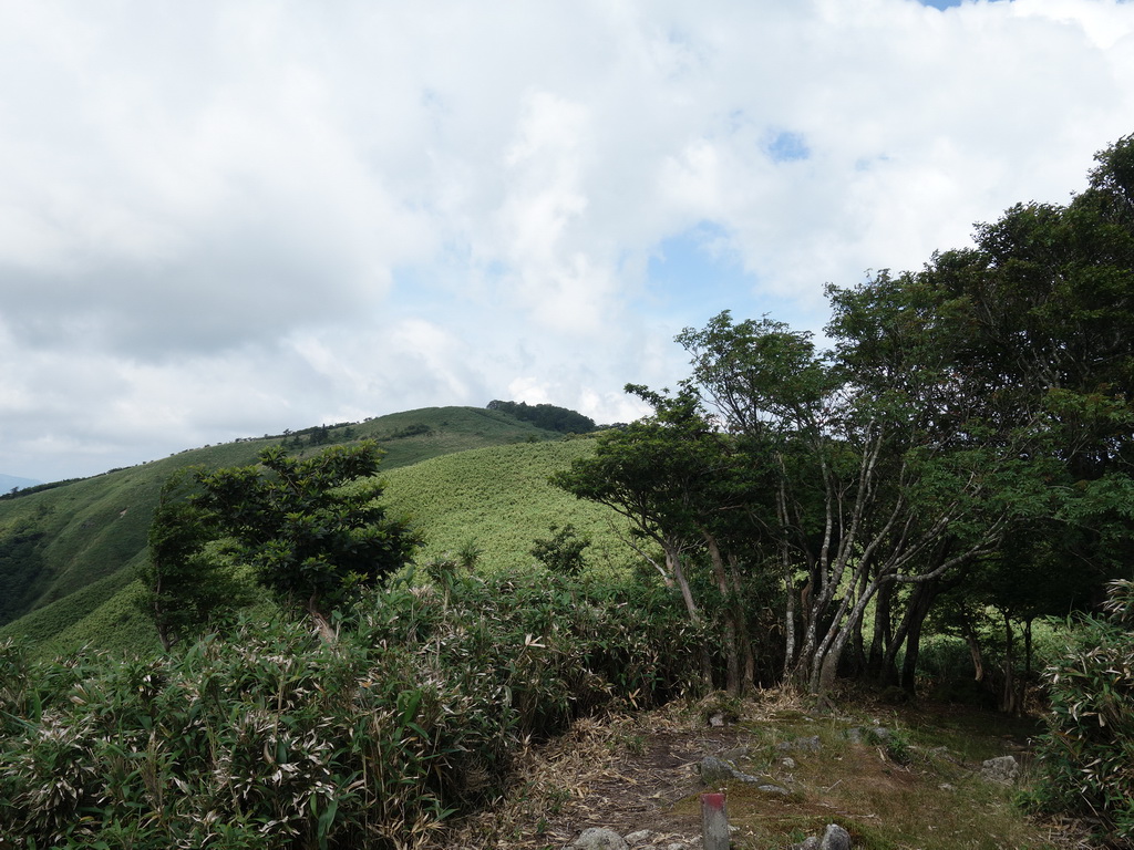 f:id:Hanamaru:20210724105636j:plain