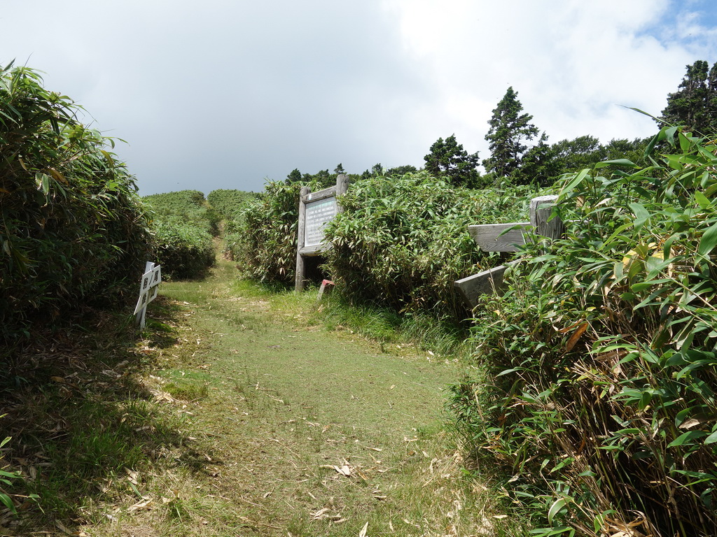 f:id:Hanamaru:20210724110340j:plain