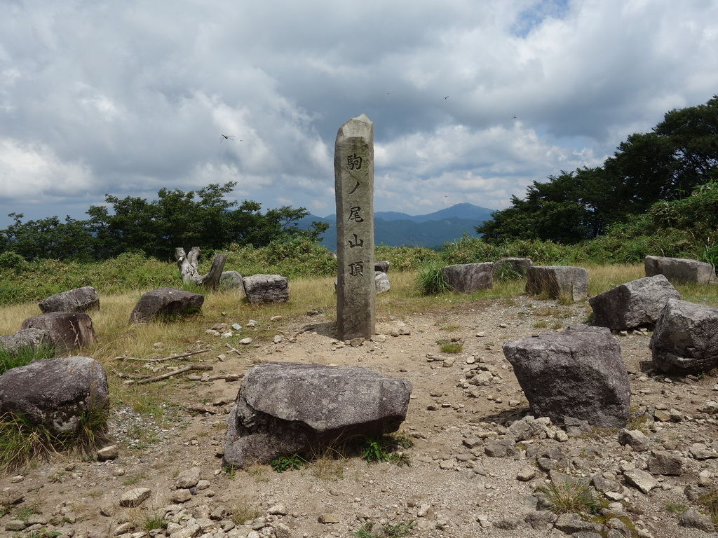 f:id:Hanamaru:20210724110633j:plain