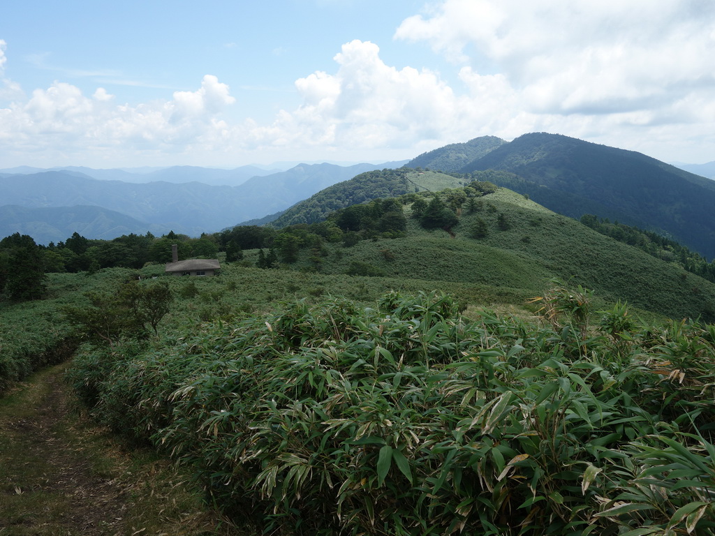 f:id:Hanamaru:20210724110826j:plain