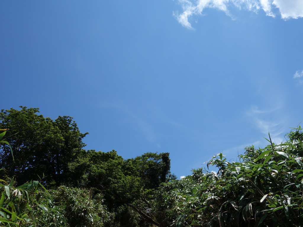 f:id:Hanamaru:20210724112431j:plain