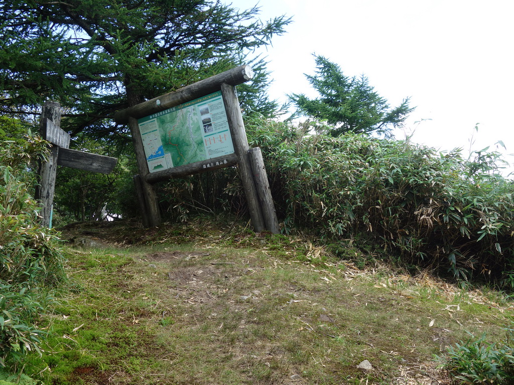 f:id:Hanamaru:20210724114733j:plain