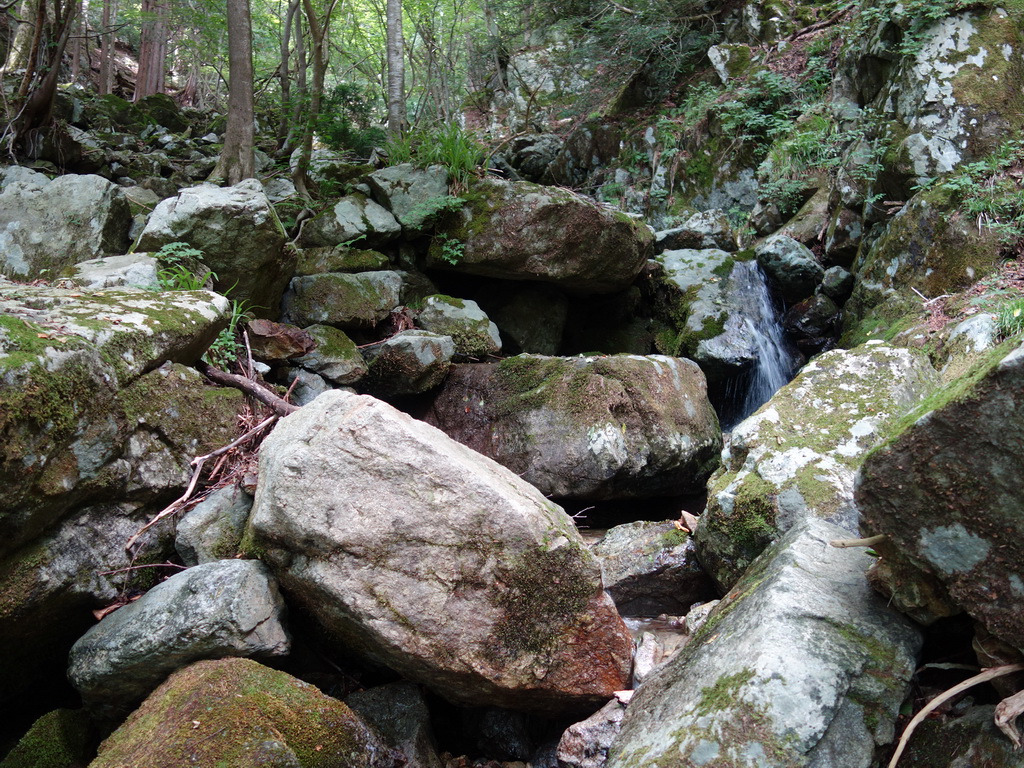 f:id:Hanamaru:20210724122649j:plain